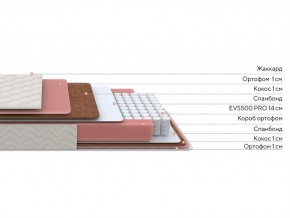 PROxSON Матрас Standart Plus M Roll (Ткань Жаккард) 160x200 в Губахе - gubaha.mebel24.online | фото 2