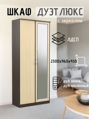 Шкаф 2-х створчатый Дуэт Люкс с зеркалом в Губахе - gubaha.mebel24.online | фото