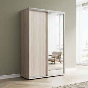Шкаф-купе Акцент-Сим ДЗ 1000-600 в Губахе - gubaha.mebel24.online | фото 6