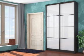 Шкаф-купе Байкал-2 СТЛ.268.11 в Губахе - gubaha.mebel24.online | фото 3