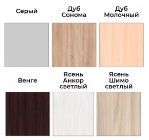 Шкаф-купе ХИТ 22-4-14-11 (420) в Губахе - gubaha.mebel24.online | фото 5