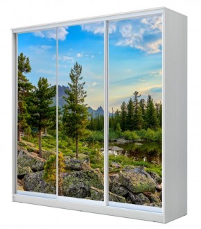 Шкаф-купе ХИТ 22-4-18-777 (420) в Губахе - gubaha.mebel24.online | фото 1