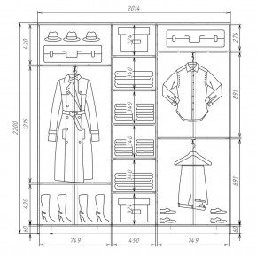 Шкаф-купе ХИТ 22-4-20-555 (420) в Губахе - gubaha.mebel24.online | фото 2