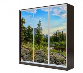 Шкаф-купе ХИТ 22-4-20-777 (420) в Губахе - gubaha.mebel24.online | фото