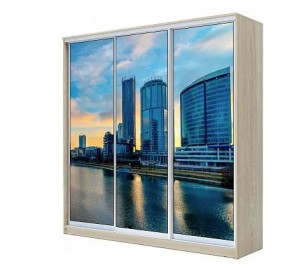 Шкаф-купе ХИТ 22-4-20-777 ЕКАТЕРИНБУРГ в Губахе - gubaha.mebel24.online | фото