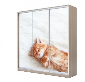 Шкаф-купе ХИТ 22-4-20-777 КОТЕНОК СПЯЩИЙ в Губахе - gubaha.mebel24.online | фото