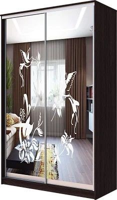 Шкаф-купе ХИТ 23-4-12/2-66 КОЛИБРИ в Губахе - gubaha.mebel24.online | фото