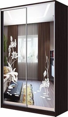 Шкаф-купе ХИТ 23-4-12/2-66 ЦАПЛИ в Губахе - gubaha.mebel24.online | фото