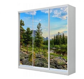 Шкаф-купе ХИТ 23-4-20-777 (420) в Губахе - gubaha.mebel24.online | фото