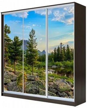 Шкаф-купе ХИТ 23-4-20-777 ПРИРОДА в Губахе - gubaha.mebel24.online | фото