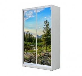 Шкаф-купе ХИТ 24-12/2-77 (620) в Губахе - gubaha.mebel24.online | фото 1