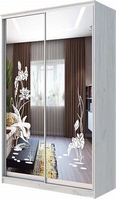 Шкаф-купе ХИТ 24-14-66 ЦАПЛИ в Губахе - gubaha.mebel24.online | фото