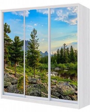 Шкаф-купе ХИТ 24-18/2-777 ПРИРОДА в Губахе - gubaha.mebel24.online | фото