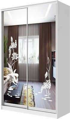 Шкаф-купе ХИТ 24-4-12-66 ЦАПЛИ в Губахе - gubaha.mebel24.online | фото