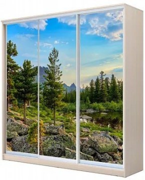 Шкаф-купе ХИТ 24-4-20-777 ПРИРОДА в Губахе - gubaha.mebel24.online | фото