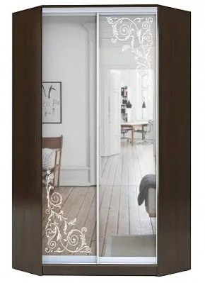 Шкаф-купе ХИТ-У-R-22-64-66 ОРНАМЕНТ в Губахе - gubaha.mebel24.online | фото