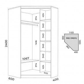Шкаф-купе ХИТ-У-R-24-64-11 в Губахе - gubaha.mebel24.online | фото 3