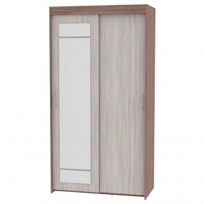 Шкаф-купе с зеркалом T-1-230х120х45-M (1-1) в Губахе - gubaha.mebel24.online | фото