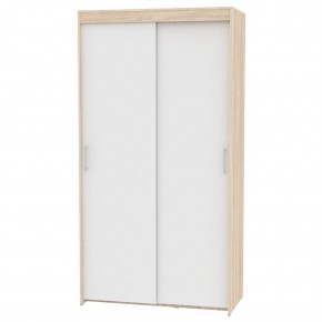 Шкаф-купе T-1-230х120х60 "ТОП" в Губахе - gubaha.mebel24.online | фото 5