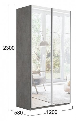 Шкаф-купе Траст СШК 2.120.60-13.13 в Губахе - gubaha.mebel24.online | фото 3