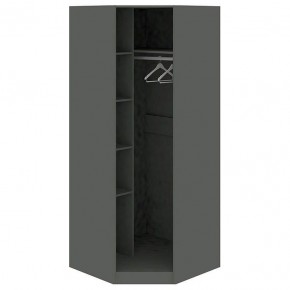 Шкаф платяной Наоми СМ-208.07.06 L в Губахе - gubaha.mebel24.online | фото 2