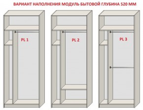 Шкаф распашной серия «ЗЕВС» (PL3/С1/PL2) Серый камень/Небраска натуральный в Губахе - gubaha.mebel24.online | фото 5
