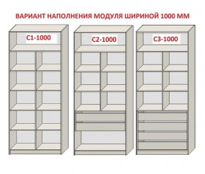 Шкаф распашной серия «ЗЕВС» (PL3/С1/PL2) Серый камень/Небраска натуральный в Губахе - gubaha.mebel24.online | фото 7