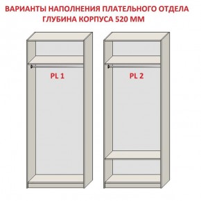 Шкаф распашной серия «ЗЕВС» (PL3/С1/PL2) Серый камень/Небраска натуральный в Губахе - gubaha.mebel24.online | фото 9
