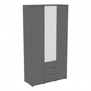 Шкаф с зеркалом Ольга H57_M (Графит) в Губахе - gubaha.mebel24.online | фото