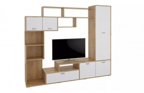 Стенка Диско (СТЛ.150.01) Дуб дикий/Белый в Губахе - gubaha.mebel24.online | фото