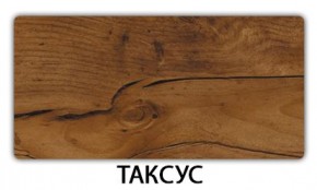 Стол обеденный Трилогия пластик Таксус в Губахе - gubaha.mebel24.online | фото 18