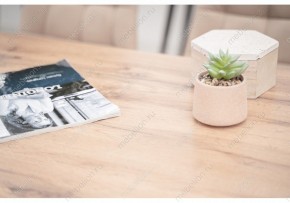 Стол обеденный Тринити Лофт 120 в Губахе - gubaha.mebel24.online | фото 6
