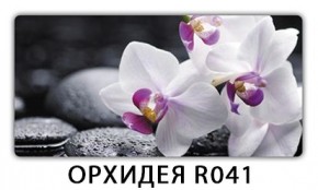 Стол раздвижной-бабочка Трилогия с фотопечатью Лайм R156 в Губахе - gubaha.mebel24.online | фото 20