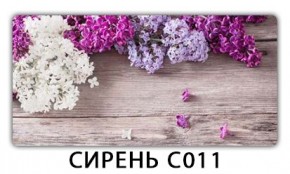 Стол раздвижной Трилогия с фотопечатью Доска D111 в Губахе - gubaha.mebel24.online | фото 16