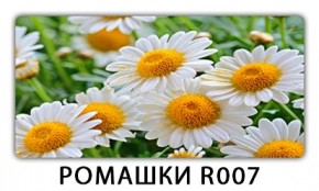 Стол раздвижной Трилогия с фотопечатью Доска D113 в Губахе - gubaha.mebel24.online | фото 15