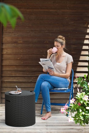 Столик-холодильник Кул-Стул (Cool stool) графит в Губахе - gubaha.mebel24.online | фото 1