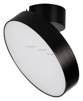 Светильник на штанге Arlight SP-RONDO-FLAP-R210-20W Day4000 (BK, 110 deg) 026453 в Губахе - gubaha.mebel24.online | фото 2