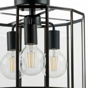 Светильник на штанге Lightstar Genni 798237 в Губахе - gubaha.mebel24.online | фото 4