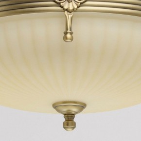 Светильник на штанге MW-Light Афродита 1 317011504 в Губахе - gubaha.mebel24.online | фото 4