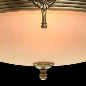 Светильник на штанге MW-Light Афродита 1 317011504 в Губахе - gubaha.mebel24.online | фото 5