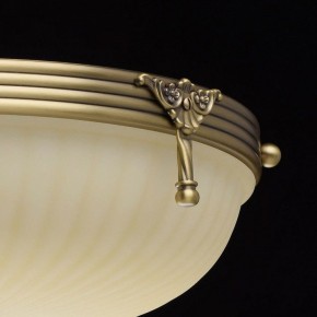 Светильник на штанге MW-Light Афродита 1 317011504 в Губахе - gubaha.mebel24.online | фото 8