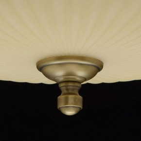 Светильник на штанге MW-Light Афродита 1 317011504 в Губахе - gubaha.mebel24.online | фото 9