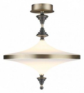 Светильник на штанге Odeon Light Ula 5404/43CL в Губахе - gubaha.mebel24.online | фото 2