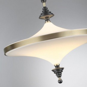 Светильник на штанге Odeon Light Ula 5404/43CL в Губахе - gubaha.mebel24.online | фото 6