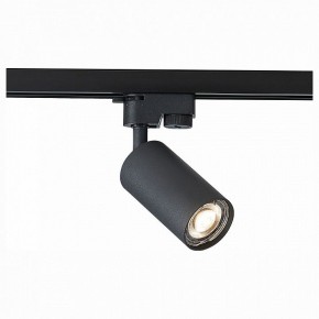Светильник на штанге ST-Luce Solt ST300.406.01 в Губахе - gubaha.mebel24.online | фото 1