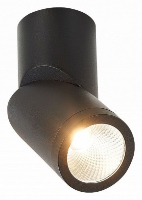 Светильник на штанге ST-Luce ST650 ST650.442.10 в Губахе - gubaha.mebel24.online | фото 2