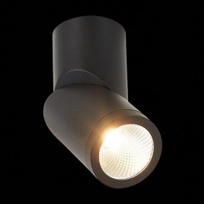 Светильник на штанге ST-Luce ST650 ST650.442.10 в Губахе - gubaha.mebel24.online | фото 5