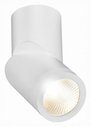 Светильник на штанге ST-Luce ST650 ST650.532.10 в Губахе - gubaha.mebel24.online | фото 3