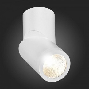Светильник на штанге ST-Luce ST650 ST650.532.10 в Губахе - gubaha.mebel24.online | фото 6