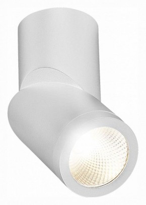 Светильник на штанге ST-Luce ST650 ST650.542.10 в Губахе - gubaha.mebel24.online | фото 3
